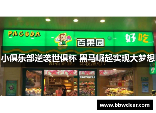 小俱乐部逆袭世俱杯 黑马崛起实现大梦想